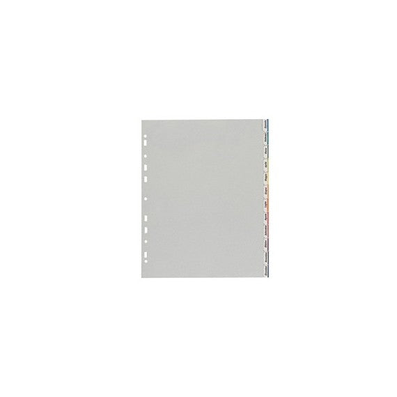 Separatore - 12 tacche personalizzabili - PP - 22x30 cm - grigio - Favorit