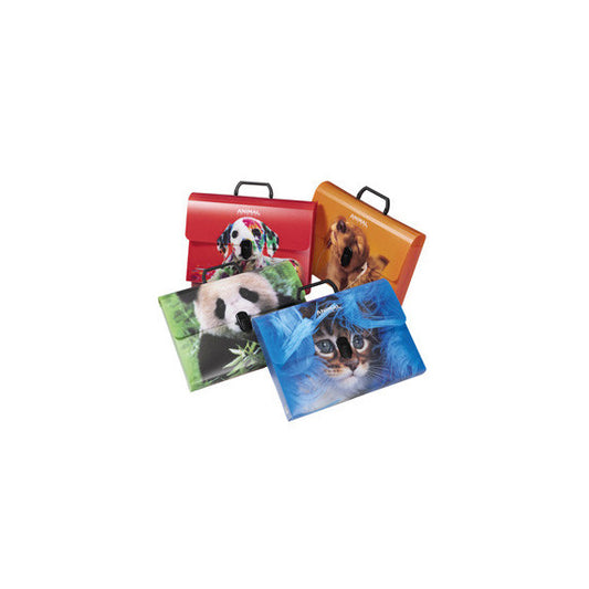 Valigetta Animal Friends Color - 28 x 38 cm - dorso 5 cm - PP - fantasie assortite - Colorosa